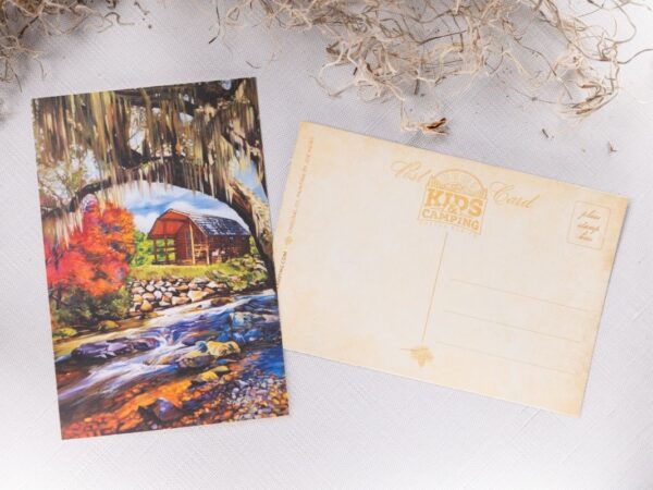 Cabin Fever Single Postcard front and back