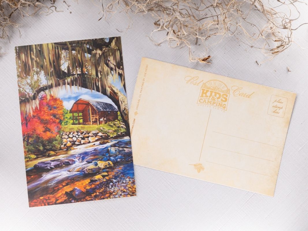 Cabin Fever Single Postcard front and back