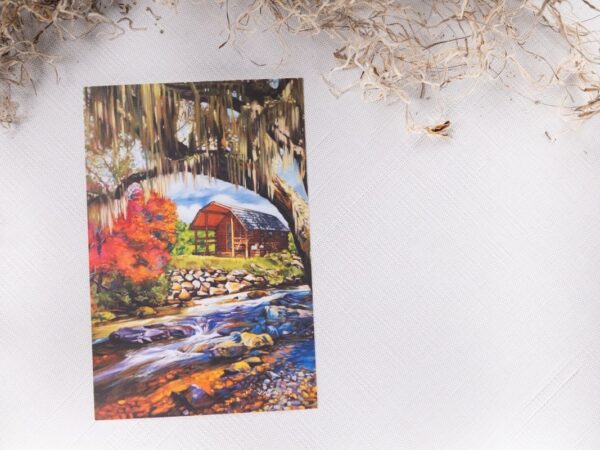 Cabin Fever Single Postcard